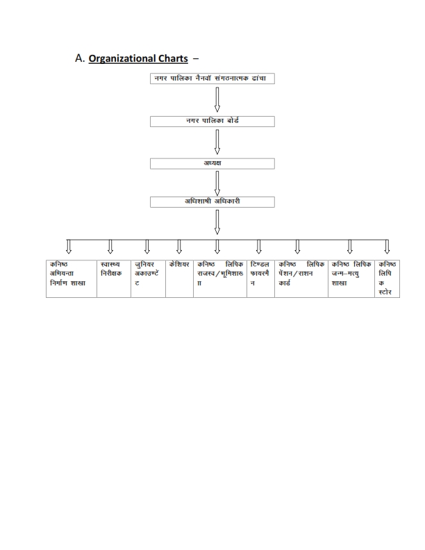 Organizational Chart